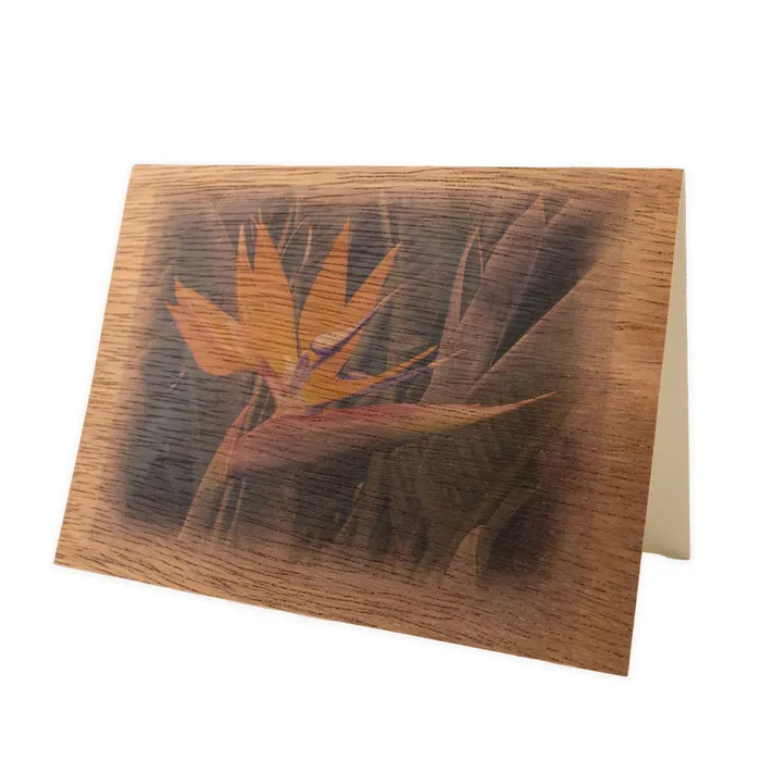 KOAKARDS Earrings Koa Kards HawaiiThemed Koa Wood Folded Note Card