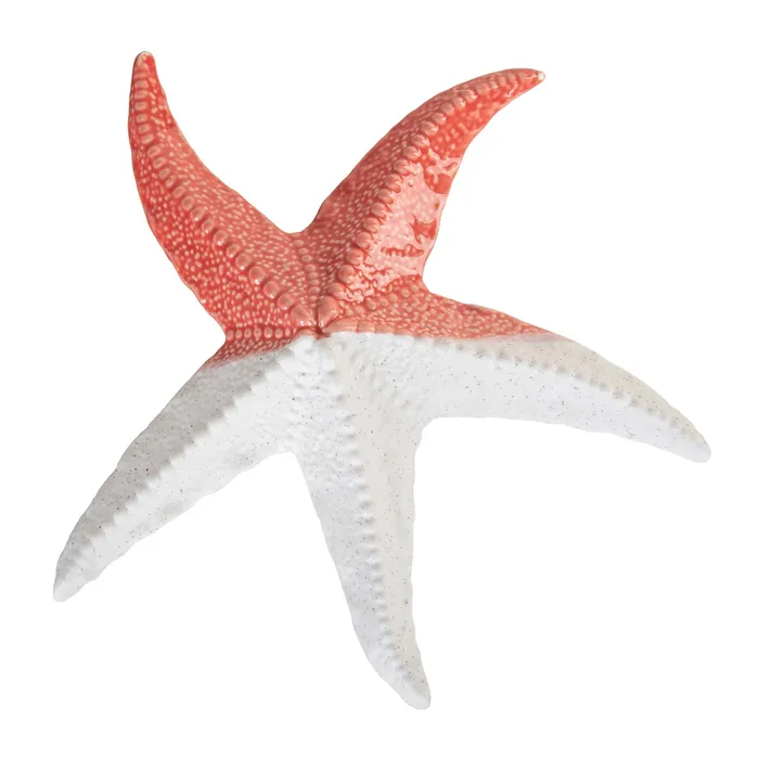 THEBEACHCOMBER Earrings Beachcombers Coral Bisque Sea Star Figurine