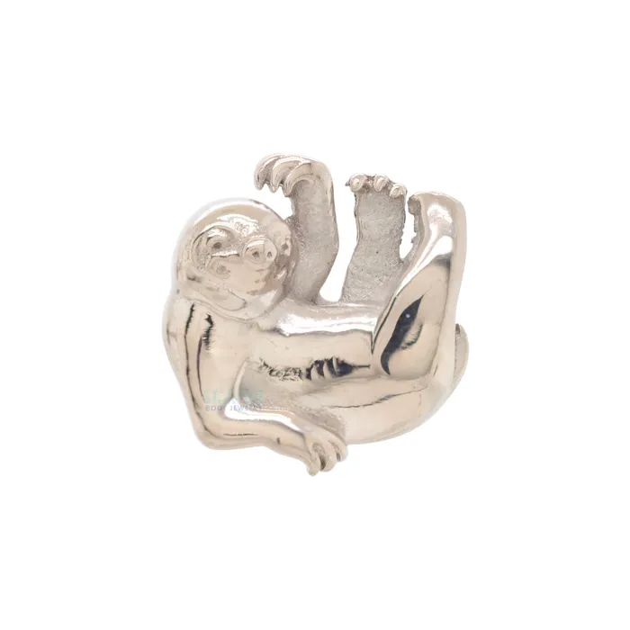 Anatometal Earrings Sloth Threaded End in Gold