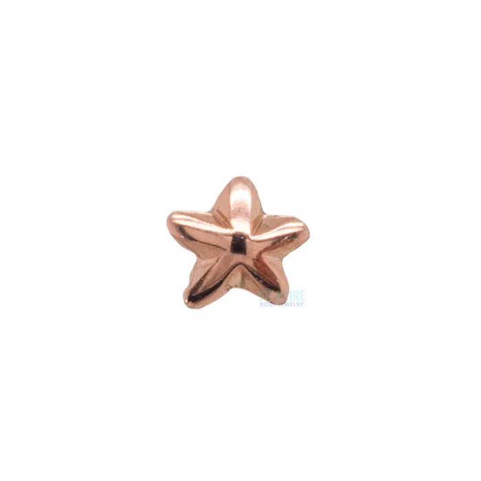 Beveled Star Threaded End in Gold LeRoi Earrings