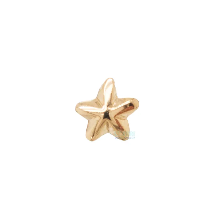 Beveled Star Threaded End in Gold LeRoi Earrings