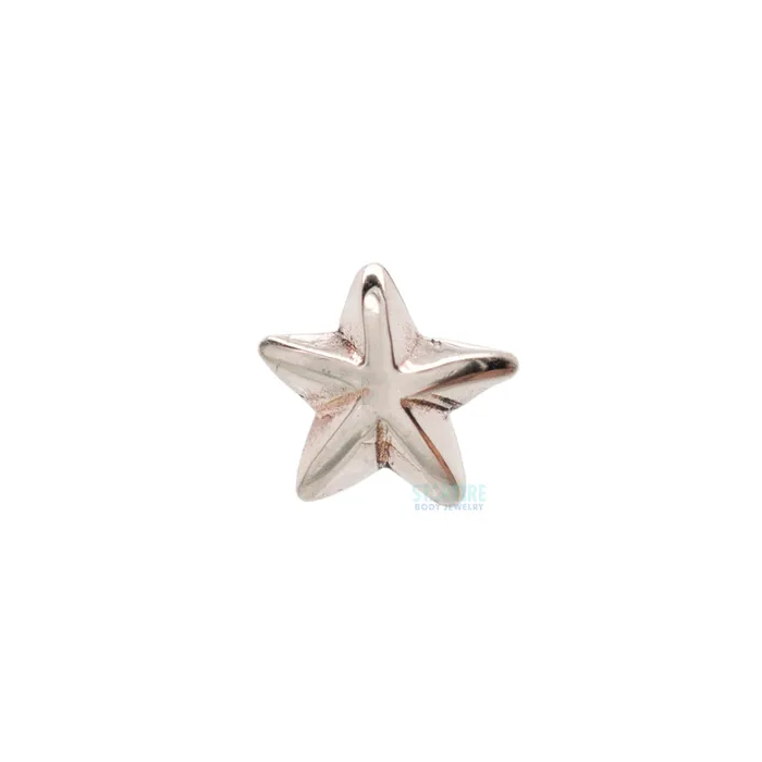 Beveled Star Threaded End in Gold LeRoi Earrings