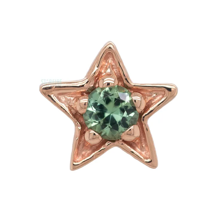 Concentric Star Threaded End in Gold with Seafoam Tourmaline Body Vision BVLA Earrings