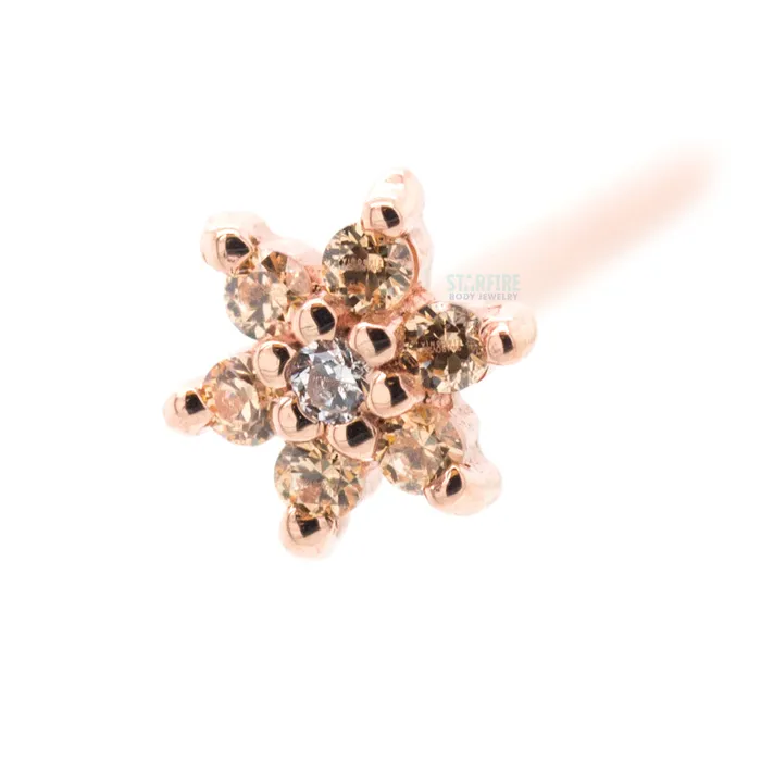 Flower 2 Nostril Screw in Gold with Champagne CZs White CZ Body Vision BVLA Earrings Flower 2 Nostril Screw in Gold with Champagne CZs White CZ Body Vision BVLA Earrings