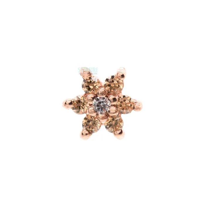 Flower 2 Nostril Screw in Gold with Champagne CZs White CZ Body Vision BVLA Earrings