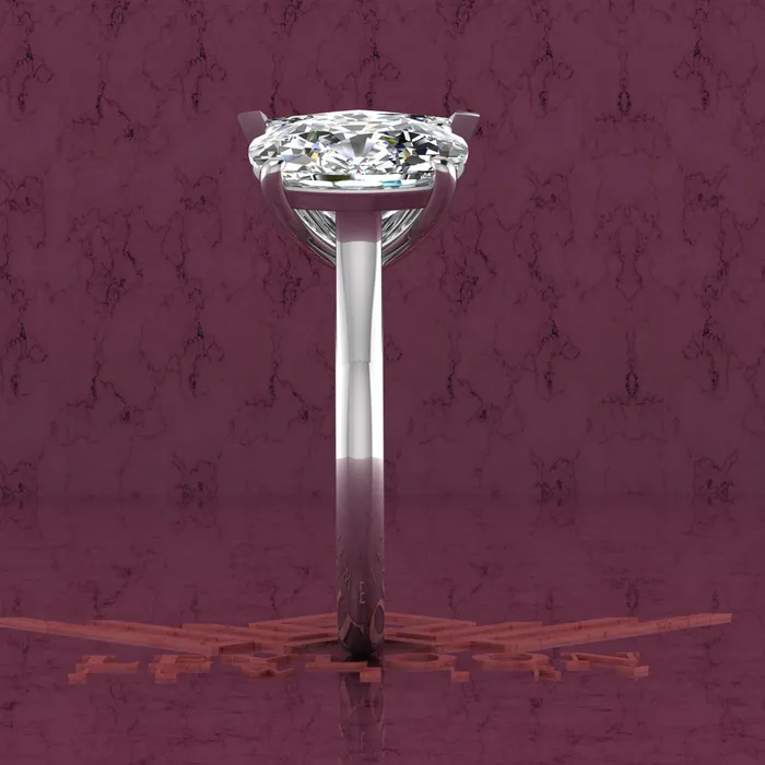 Leyloon Jewelry Rings 4 Carat Trilliant Cut 4 Carat Medium Cushion Cut TwoStone Basket D Color Moissanite Ring