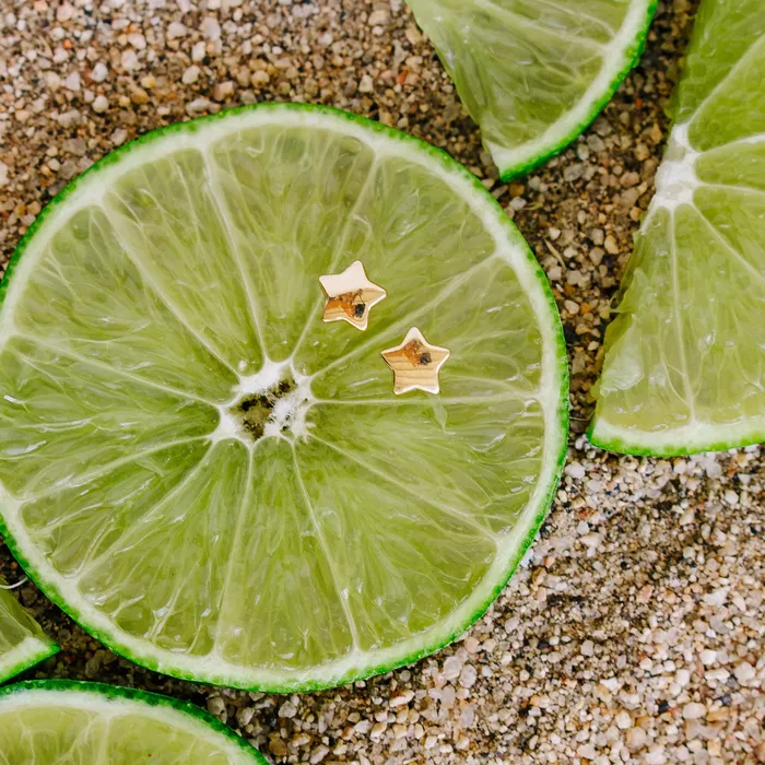 Stella Tide Earrings Stella Maris Earrings