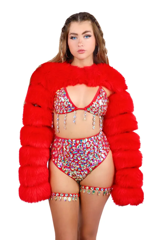 THE LUMI SHOP FULL OUTFIT Fuzzy Ruby 4 pcs Earrings