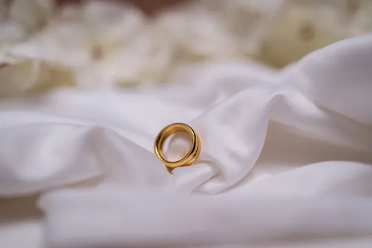18K GoldFilled Double Band Ring Jewelvers Rings