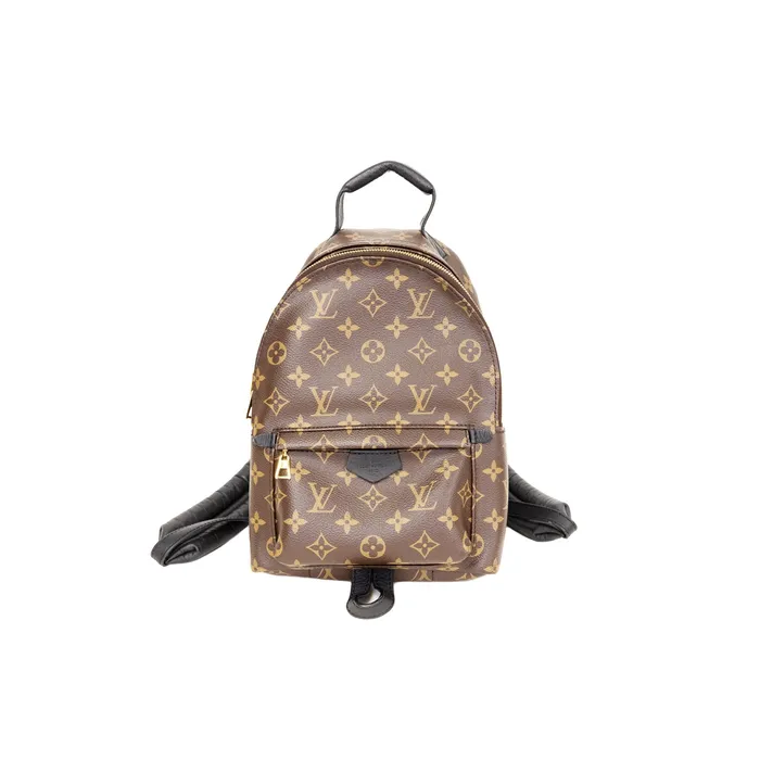 Louis Vuitton PreOwned Louis Vuitton Monogram Palm Springs PM Backpack Earrings