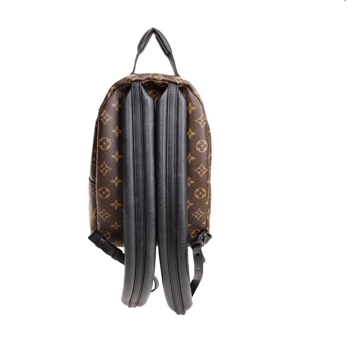 Louis Vuitton PreOwned Louis Vuitton Monogram Palm Springs PM Backpack Earrings Louis Vuitton PreOwned Louis Vuitton Monogram Palm Springs PM Backpack Earrings