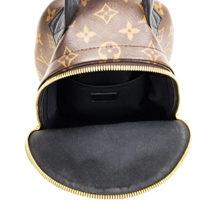 Louis Vuitton PreOwned Louis Vuitton Monogram Palm Springs PM Backpack Earrings Louis Vuitton PreOwned Louis Vuitton Monogram Palm Springs PM Backpack Earrings