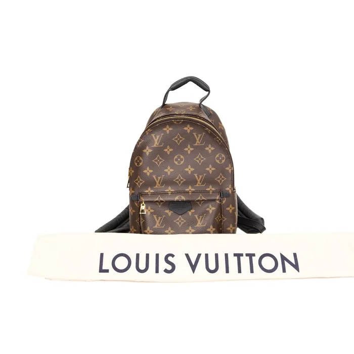 Louis Vuitton PreOwned Louis Vuitton Monogram Palm Springs PM Backpack Earrings Louis Vuitton PreOwned Louis Vuitton Monogram Palm Springs PM Backpack Earrings
