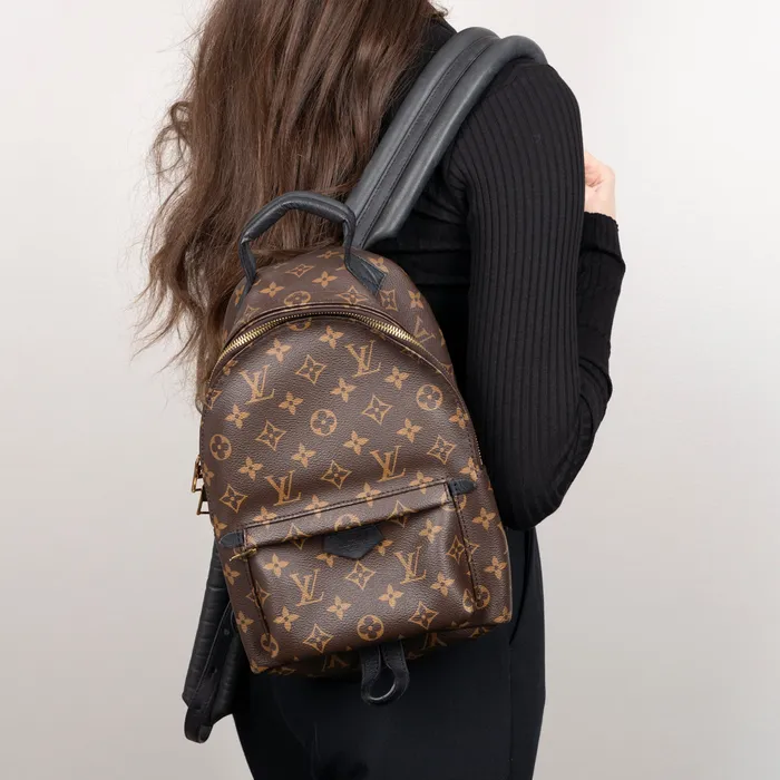 Louis Vuitton PreOwned Louis Vuitton Monogram Palm Springs PM Backpack Earrings Louis Vuitton PreOwned Louis Vuitton Monogram Palm Springs PM Backpack Earrings