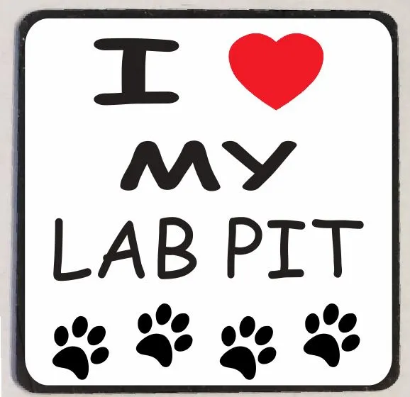 M255 Lab Pit Refrigerator Magnet Iris Fashion Jewelry Earrings