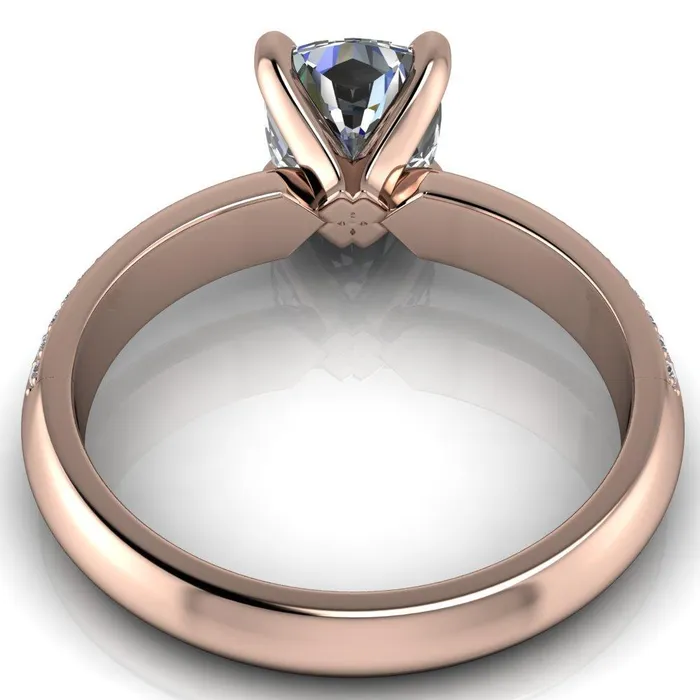 Priscilla Cushion Center Stone 4 Prong Double Channel Shank Engagement Ring Fire Brilliance Rings