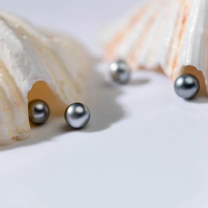 Second Grade Round Tahitian Pearls WA00022 Pearly Lustre Rings